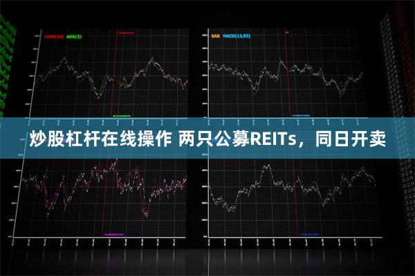 炒股杠杆在线操作 两只公募REITs，同日开卖