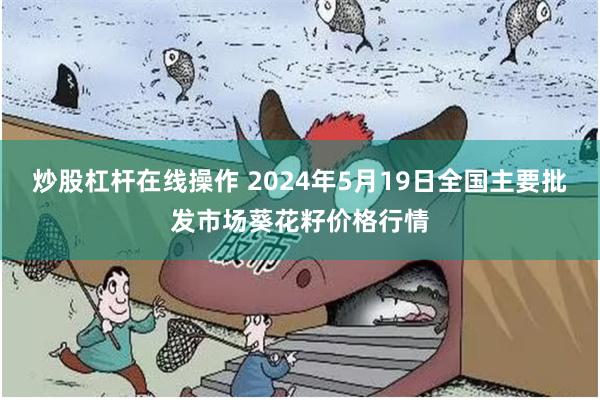 炒股杠杆在线操作 2024年5月19日全国主要批发市场葵花籽价格行情