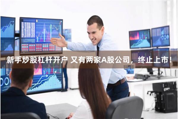 新手炒股杠杆开户 又有两家A股公司，终止上市！