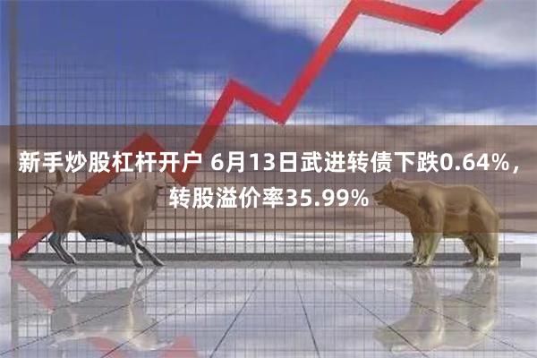 新手炒股杠杆开户 6月13日武进转债下跌0.64%，转股溢价率35.99%