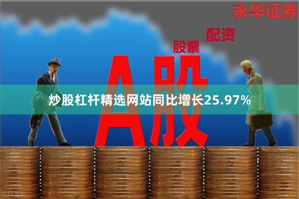 炒股杠杆精选网站同比增长25.97%